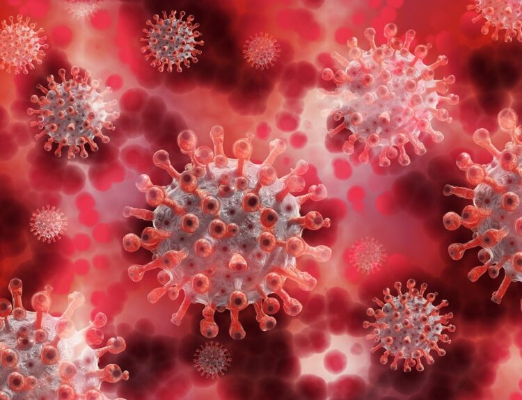 what foods build white blood cells